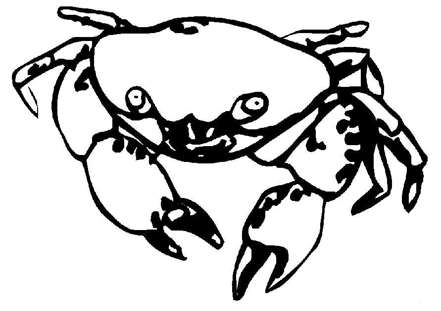 crab pictures to colour free printable crab coloring pages for kids colour pictures crab to 