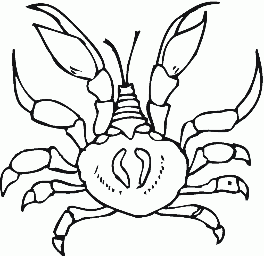crab pictures to colour free printable crab coloring pages for kids pictures colour to crab 1 1
