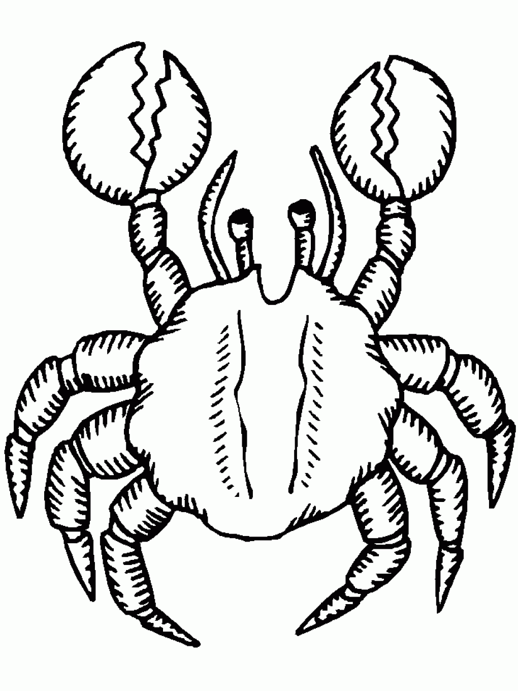 crab pictures to colour free printable crab coloring pages for kids to colour pictures crab 