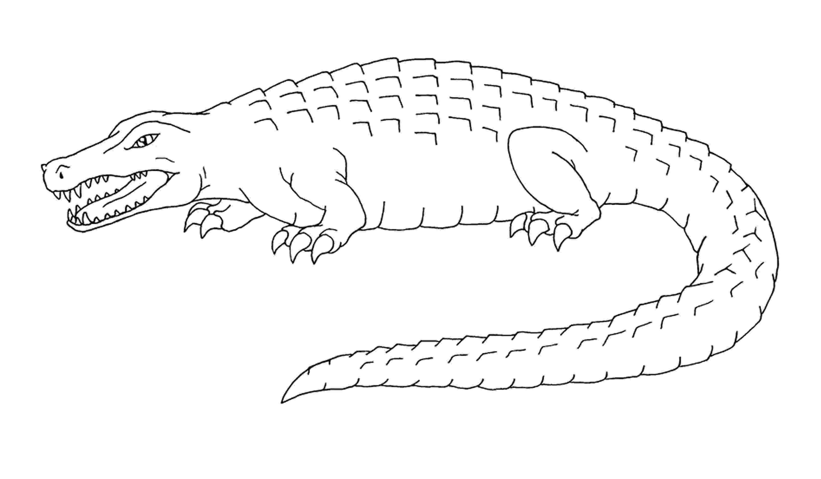 crocodile coloring crocodile coloring pages to download and print for free coloring crocodile 