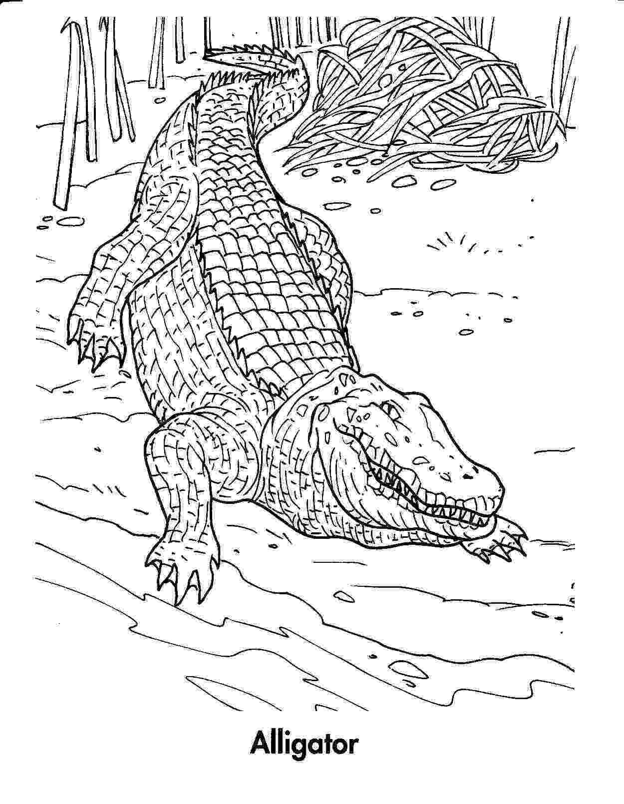 crocodile coloring free coloring pages crocodiles crocodile coloring 