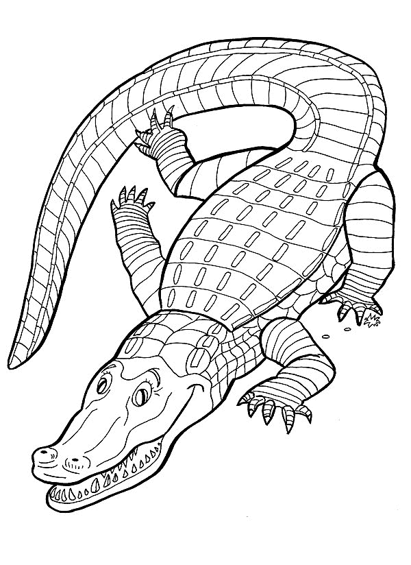 crocodile colouring pictures crocodile coloring pages coloringpages1001com pictures crocodile colouring 