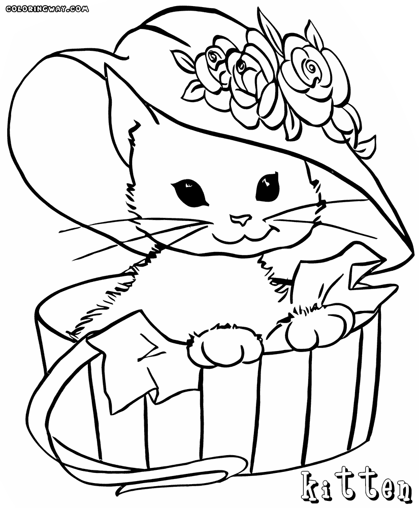 cute kitten colouring pages cute kitten cats adult coloring pages kitten colouring pages cute 