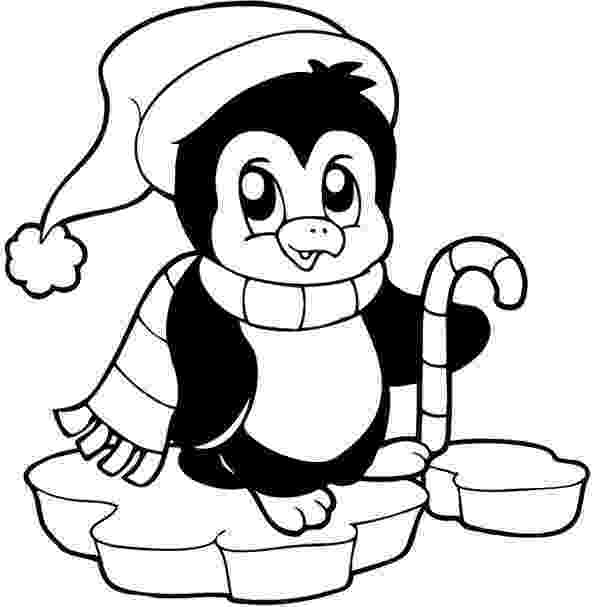 cute penguin pictures to color cute penguin on christmas coloring pages penguin pictures color penguin cute to 