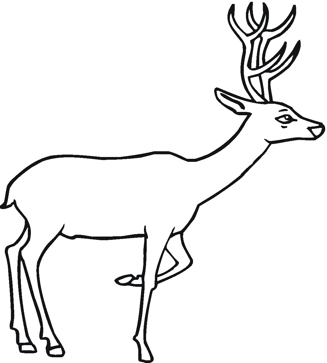 deer coloring sheet free printable deer coloring pages for kids sheet deer coloring 1 1