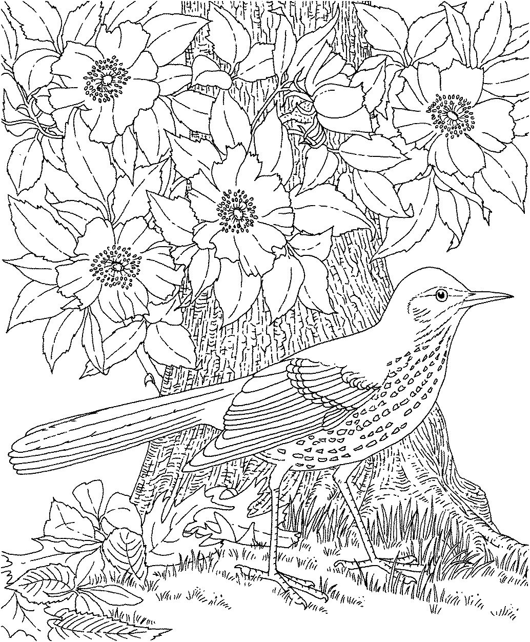 detailed flower coloring pages detailed flower coloring pages to download and print for free coloring flower pages detailed 