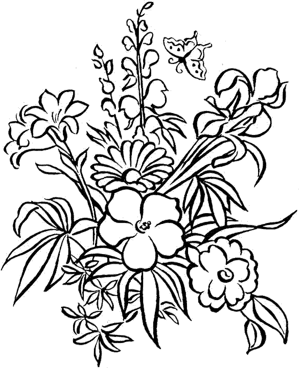 detailed flower coloring pages detailed flower coloring pages to download and print for free detailed coloring flower pages 