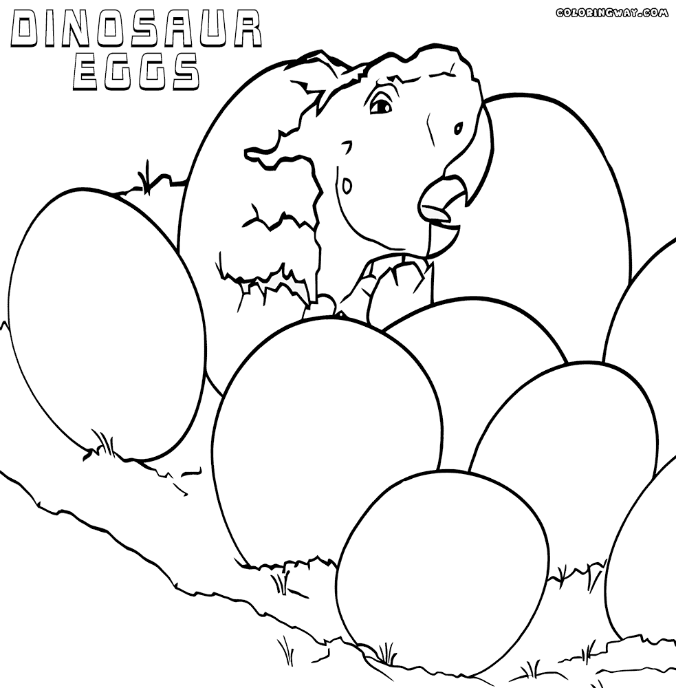 dinosaur egg coloring page dinosaur eggs coloring pages coloring pages to download egg dinosaur page coloring 