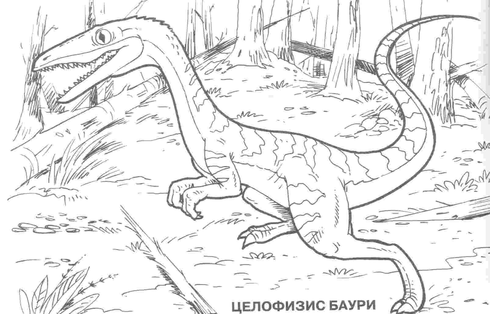 dinosaurs pictures dinosaur coloring pages dinopit dinosaurs pictures 