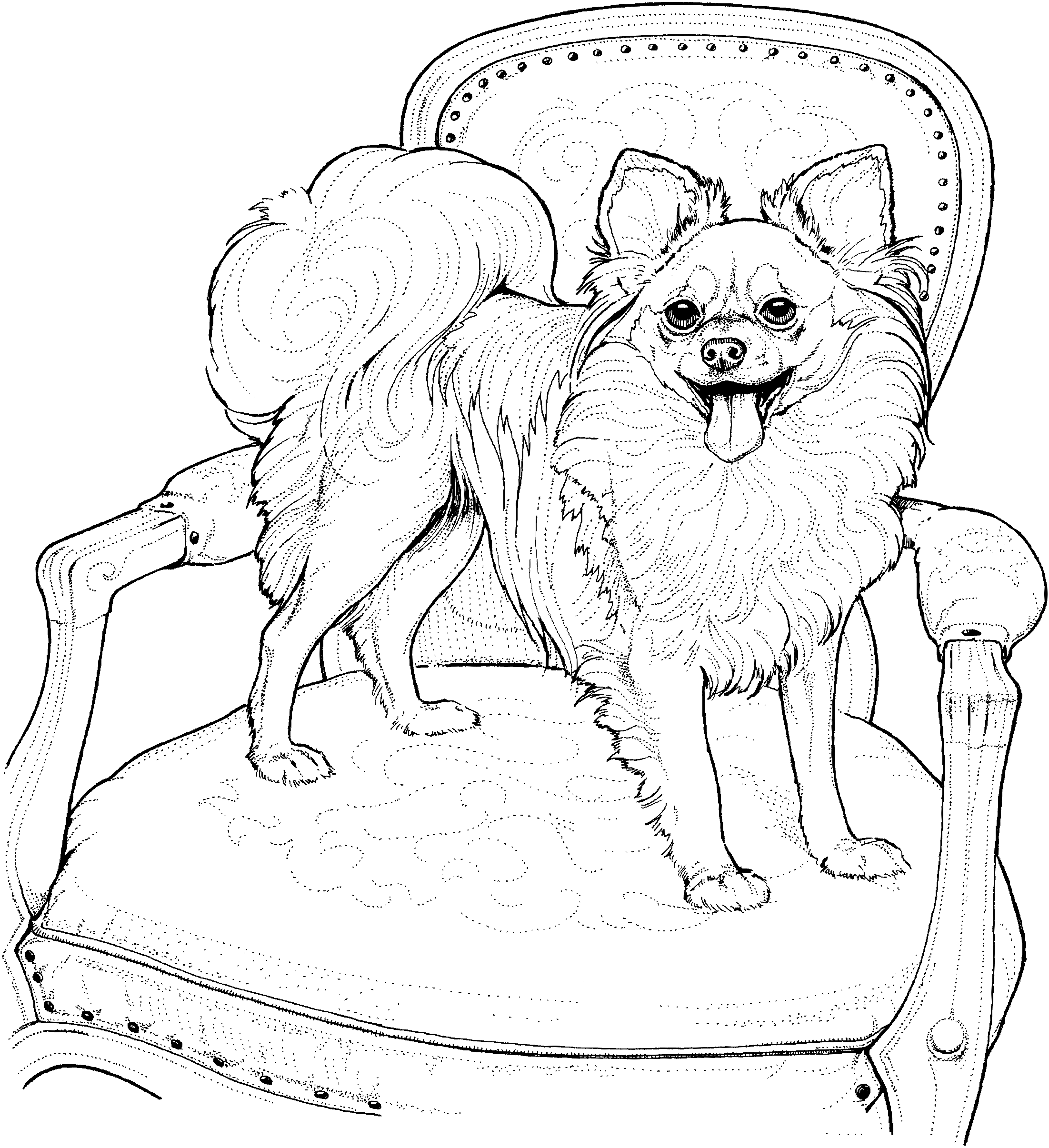 dog breeds coloring pages dog breed coloring pages breeds dog pages coloring 