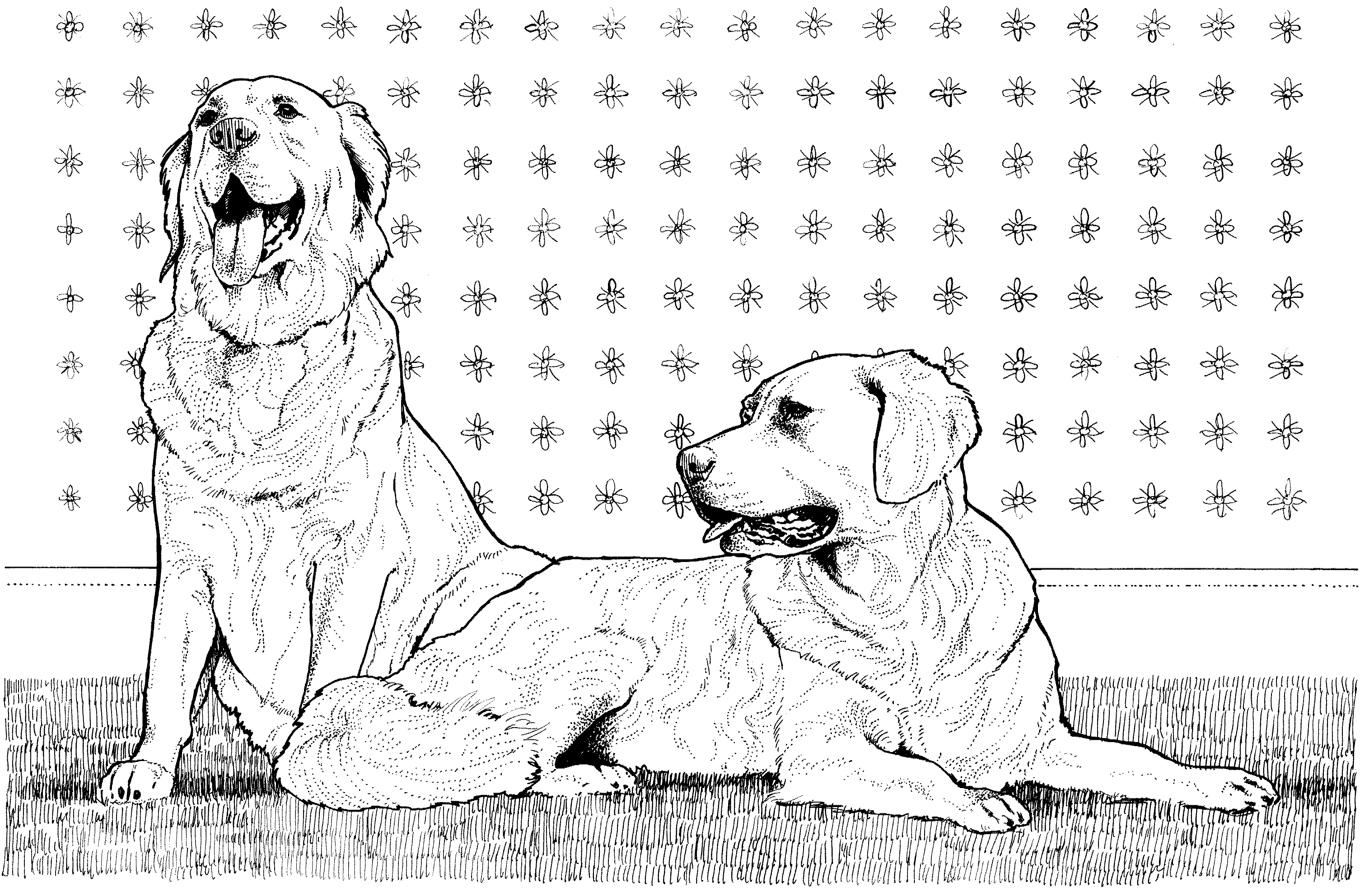 dog breeds coloring pages dog breed coloring pages dog pages coloring breeds 