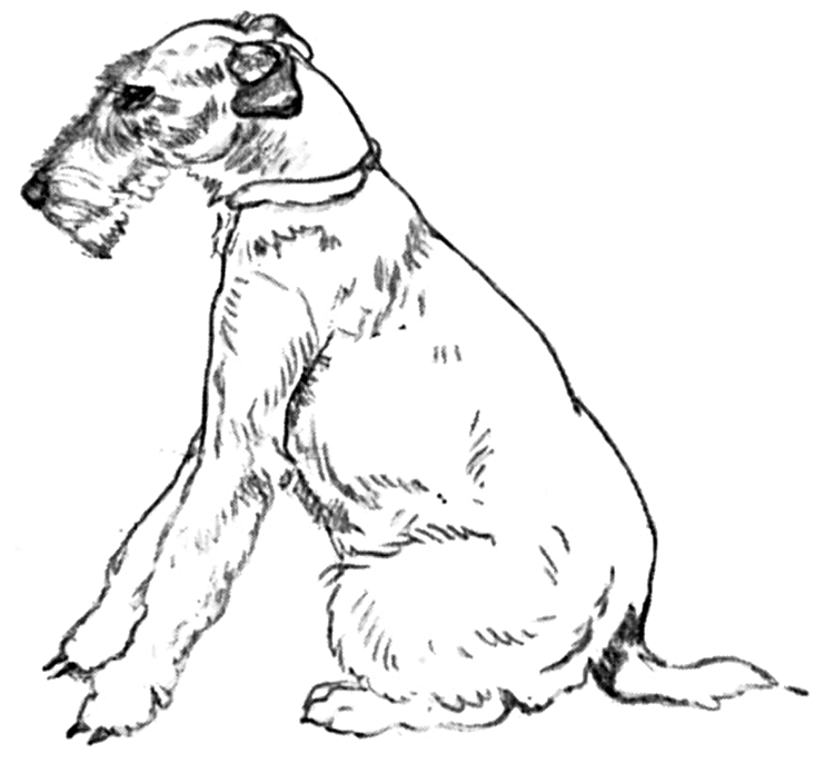 dog breeds coloring pages dog breed coloring pages hubpages breeds dog coloring pages 