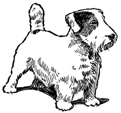 dog breeds coloring pages dog breed coloring pages pages breeds coloring dog 1 2