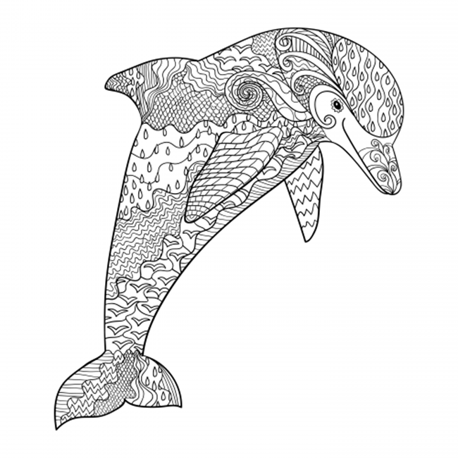 dolphin coloring pages 12 free printable adult coloring pages for summer dolphin pages coloring 