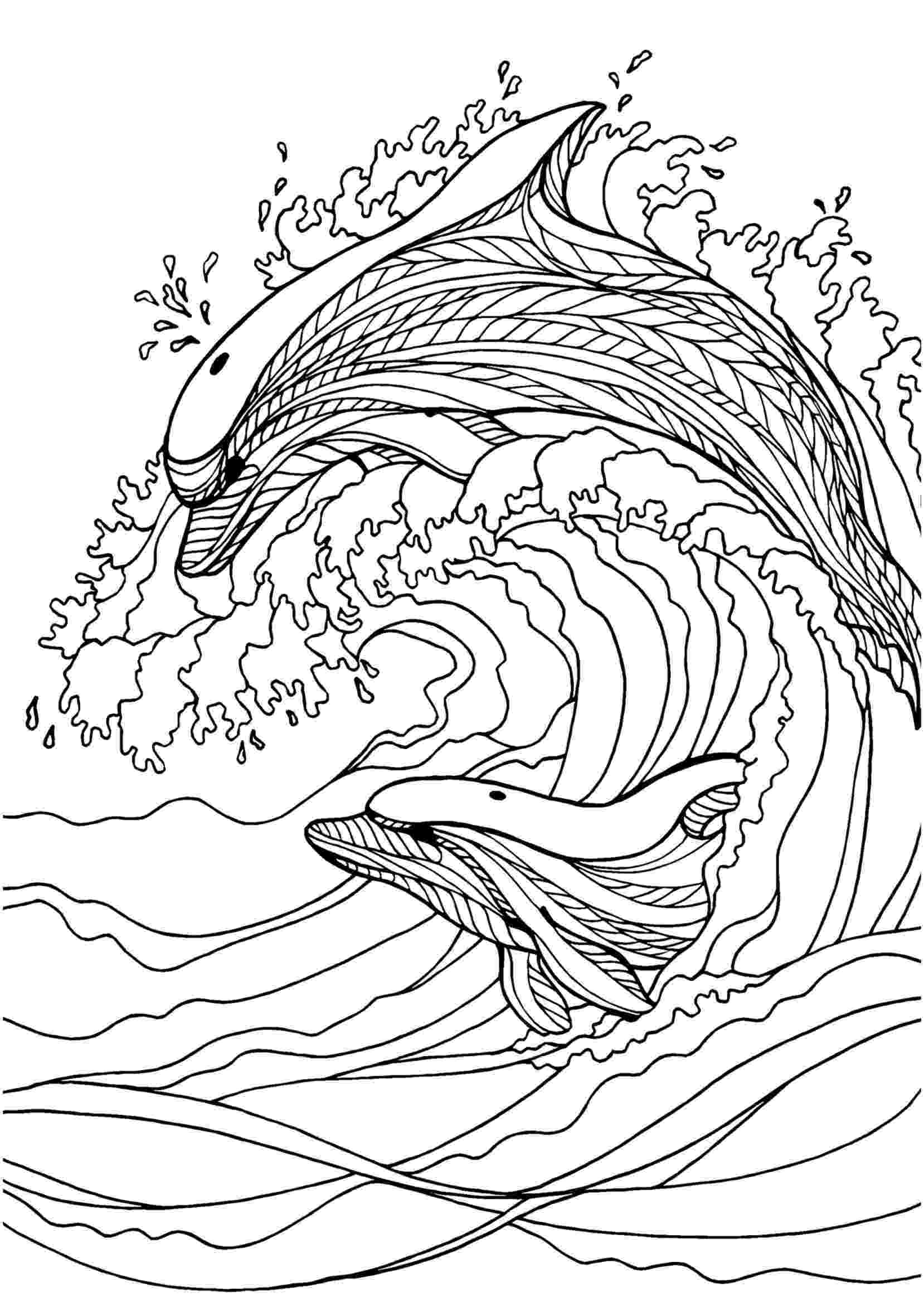 dolphin coloring pages dolphin adult colouring page colouring in sheets art coloring pages dolphin 