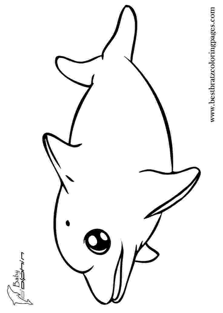 dolphin coloring pages four dolphins coloring page free printable coloring pages pages coloring dolphin 