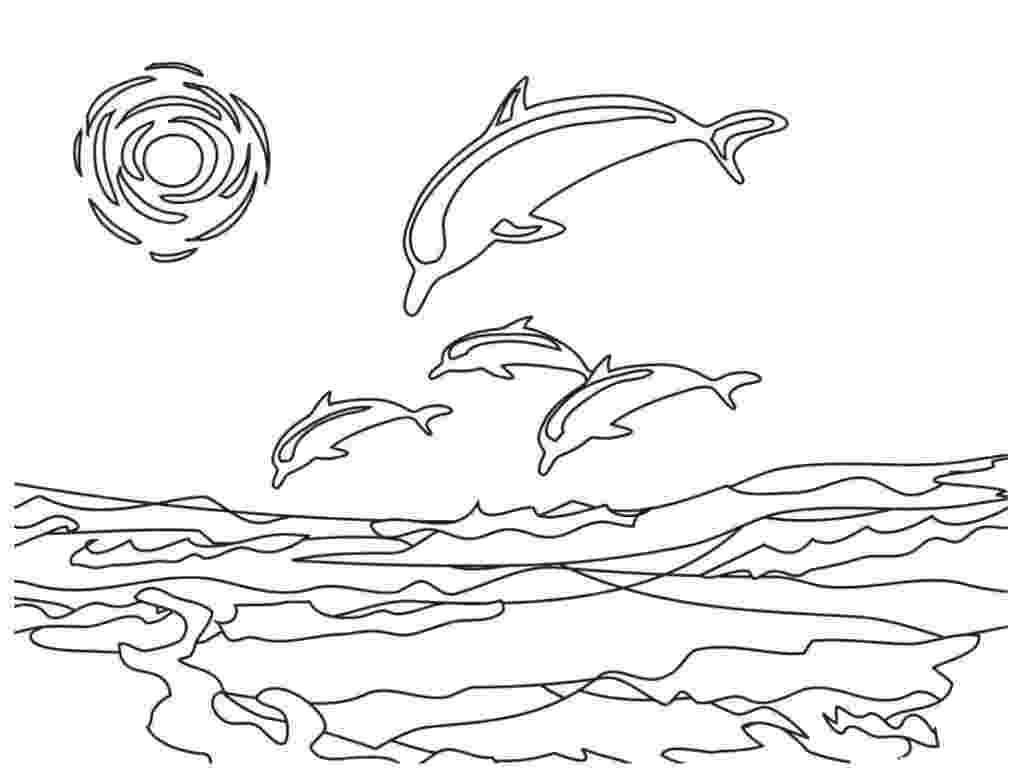 dolphin coloring pages free printable dolphin coloring pages for kids coloring pages dolphin 1 2