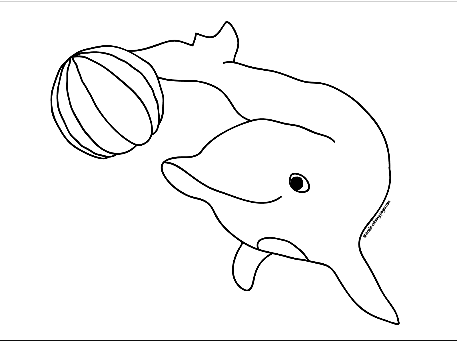 dolphin coloring pages to print dolphin coloring pages download and print for free pages coloring print to dolphin 