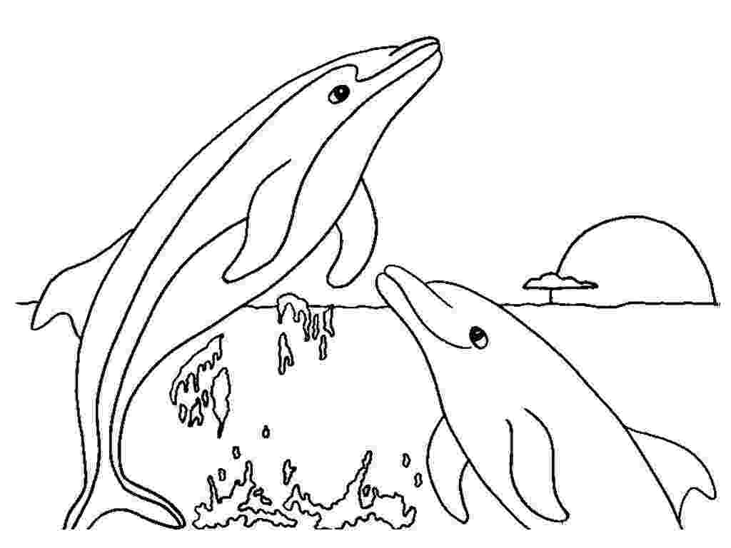 dolphin coloring pages to print dolphin coloring pages download and print for free print to pages dolphin coloring 