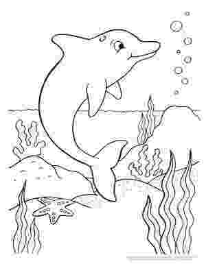 dolphins coloring pages dolphin coloring pages dolphin coloring pages easy pages coloring dolphins 