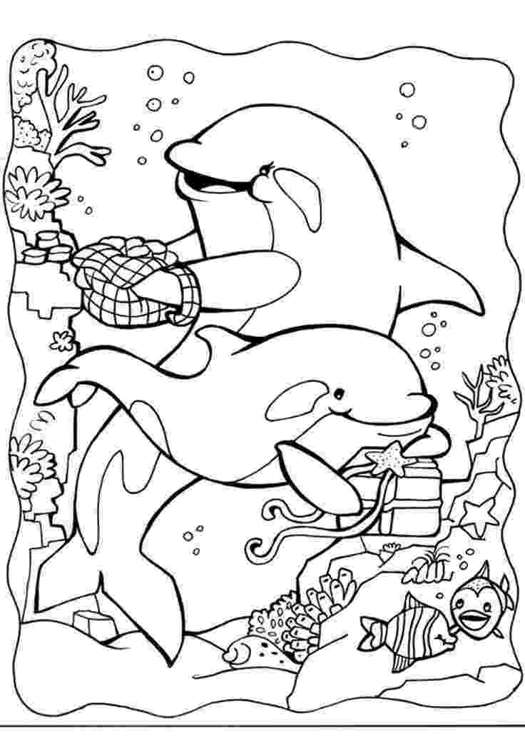 dolphins coloring pages free printable dolphin coloring pages for kids dolphins pages coloring 