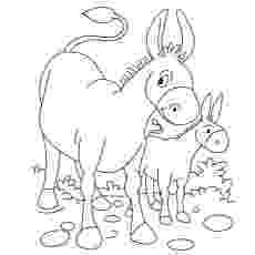 donkey pictures to colour top 10 free printable donkey coloring pages online to donkey colour pictures 