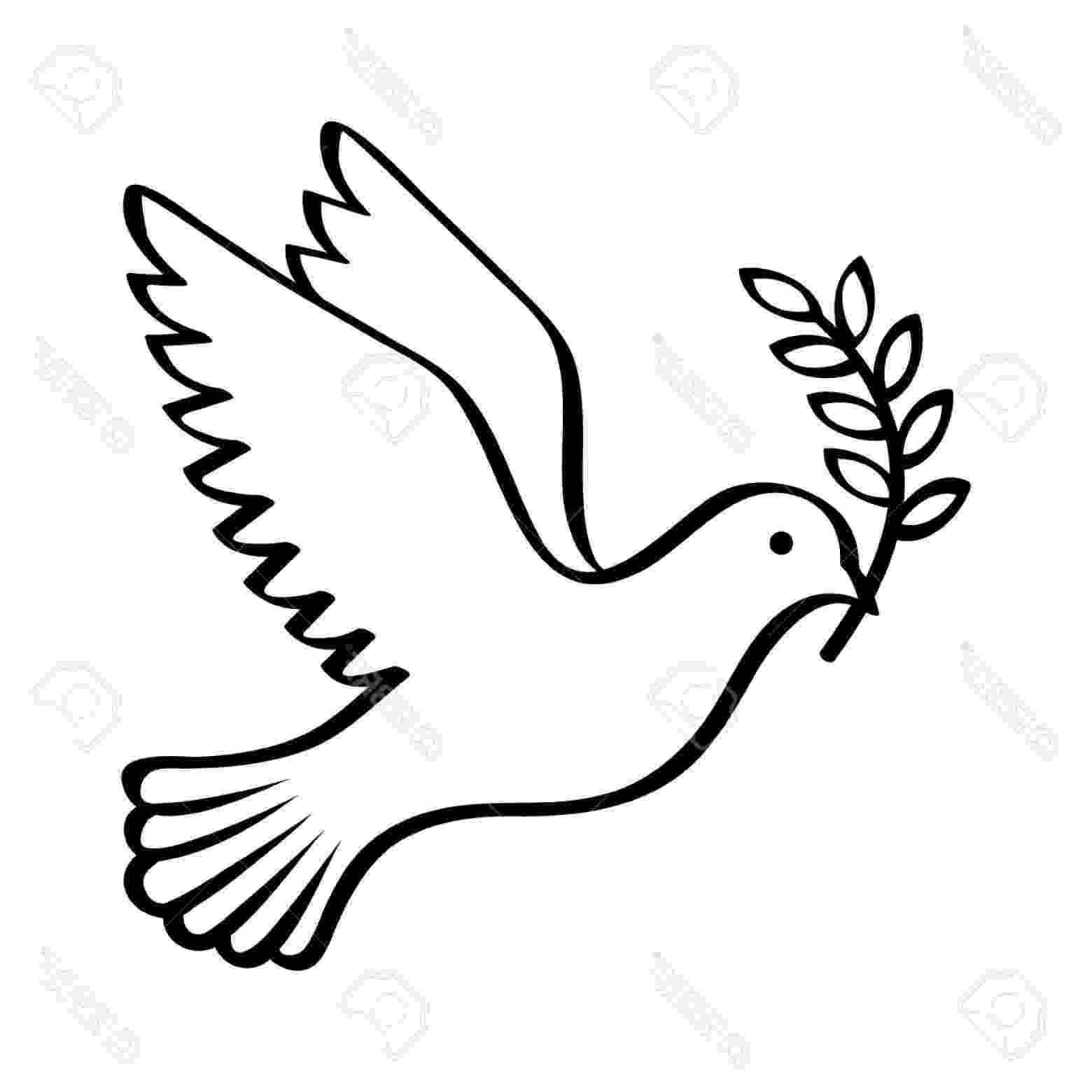 dove holding olive branch peace dove stock illustrations 8158 peace dove stock olive holding branch dove 