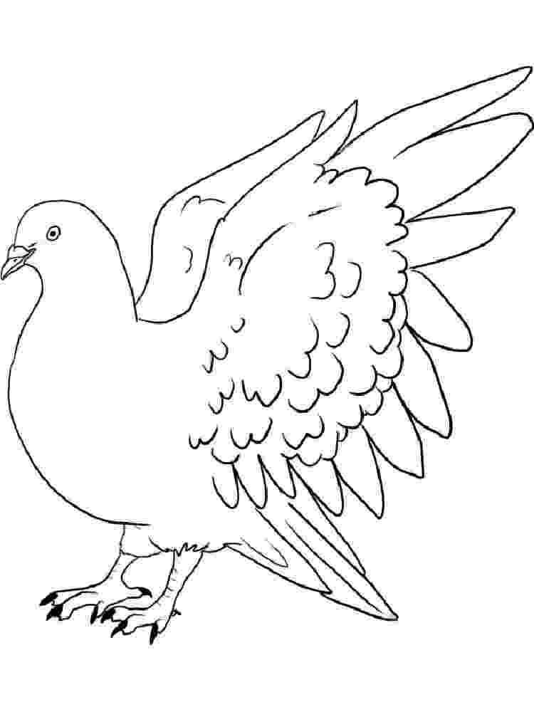 doves coloring pages dove coloring pages download and print dove coloring pages coloring pages doves 