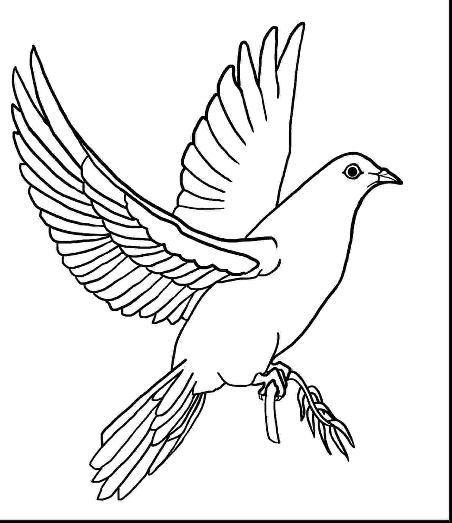 doves coloring pages turtle doves coloring pages coloring home coloring doves pages 