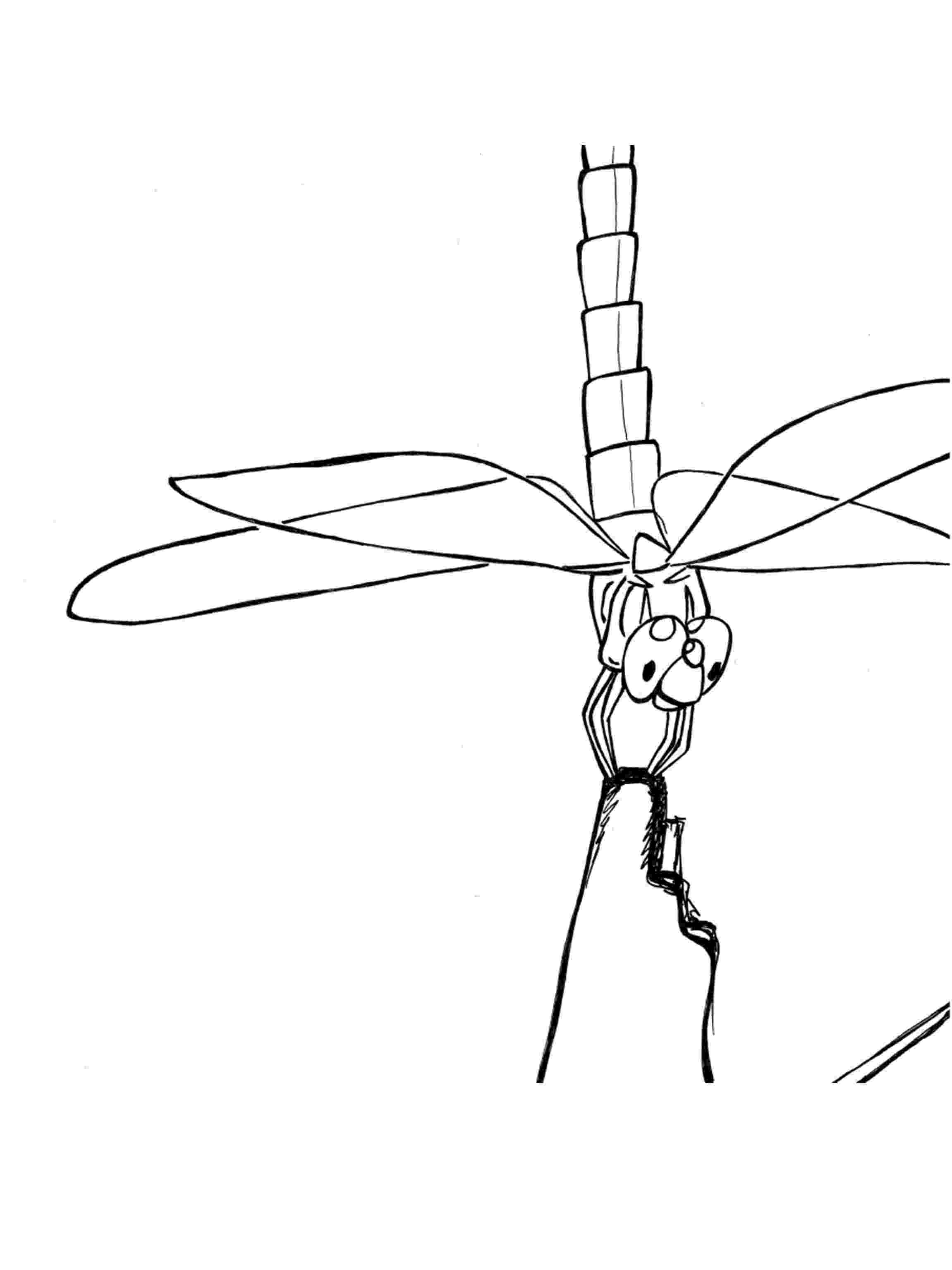 dragonfly coloring dragonflies coloring pages download and print for free coloring dragonfly 1 1