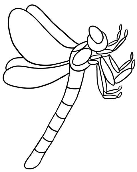dragonfly coloring dragonfly coloring pages getcoloringpagescom coloring dragonfly 1 1