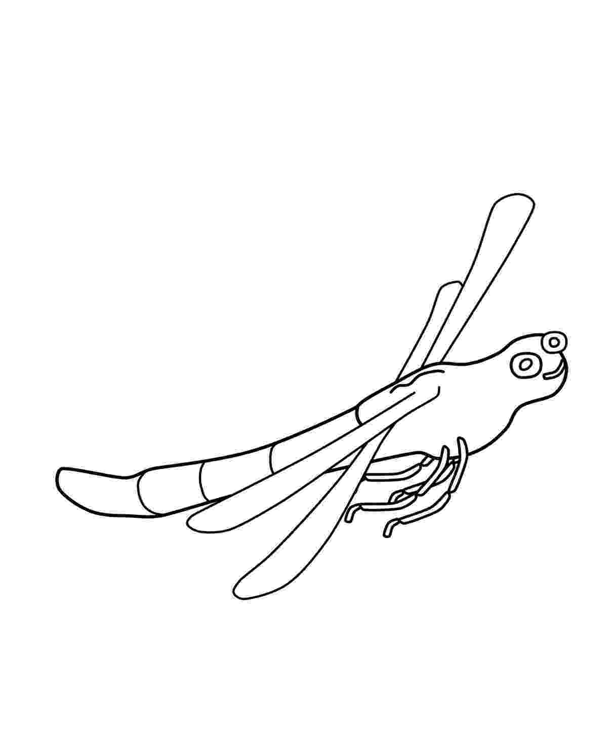 dragonfly coloring free printable dragonfly coloring pages for kids animal dragonfly coloring 1 2