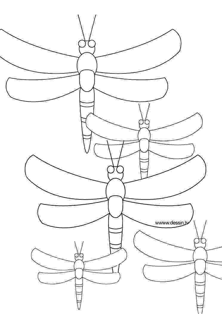 dragonfly coloring free printable dragonfly coloring pages for kids dragonfly coloring 1 2