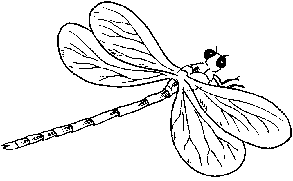dragonfly coloring page free printable dragonfly coloring pages for kids animal coloring page dragonfly 