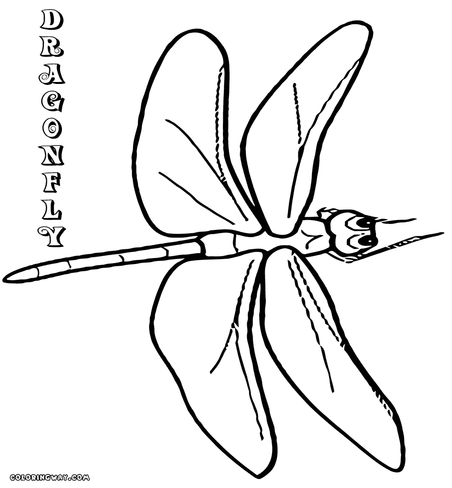 dragonfly coloring page free printable dragonfly coloring pages for kids animal page coloring dragonfly 
