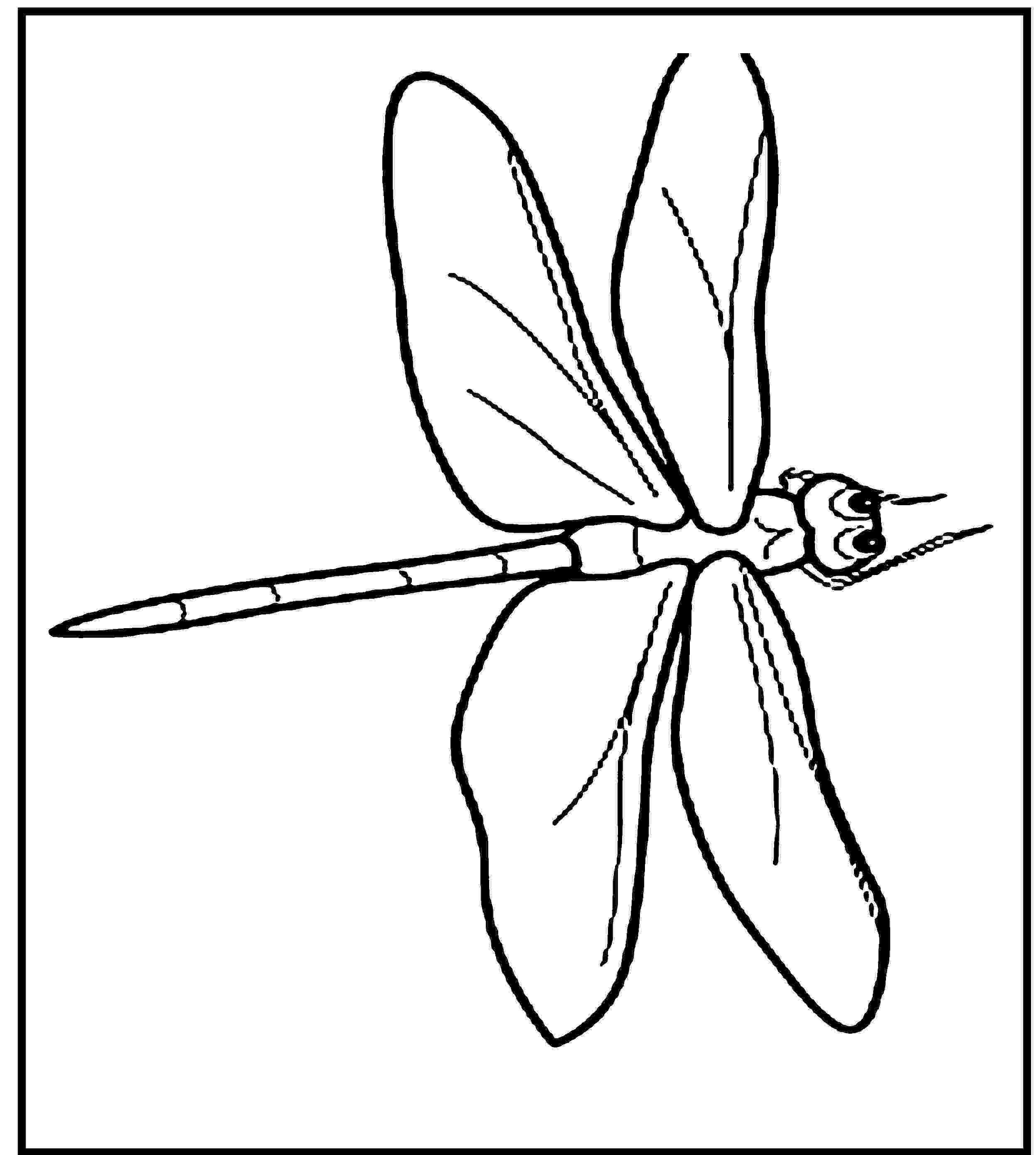 dragonfly coloring page free printable dragonfly coloring pages for kids animal page dragonfly coloring 1 1