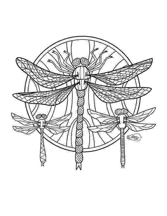 dragonfly coloring page free printable dragonfly coloring pages for kids dragonfly page coloring 1 1