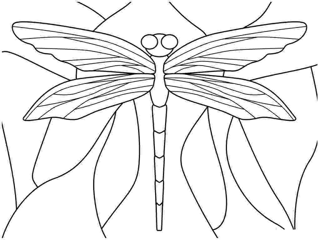 dragonfly coloring page pin on painting drawing ideas coloring dragonfly page 