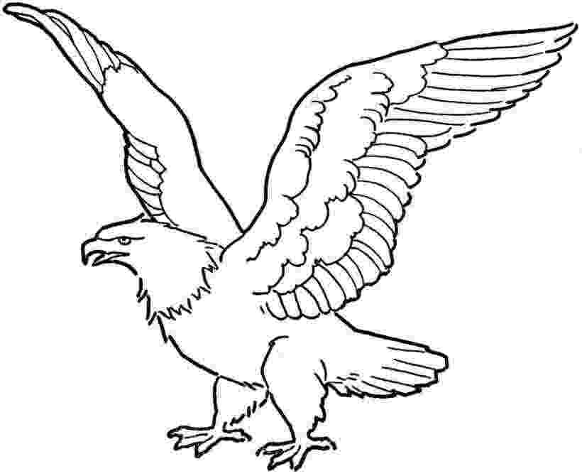 eagle printable free printable angel wings download free clip art free printable eagle 