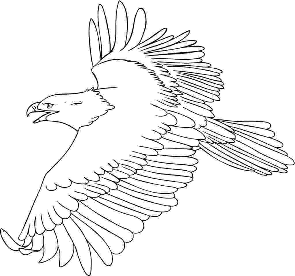 eagle printable free printable eagle coloring pages for kids eagle printable 