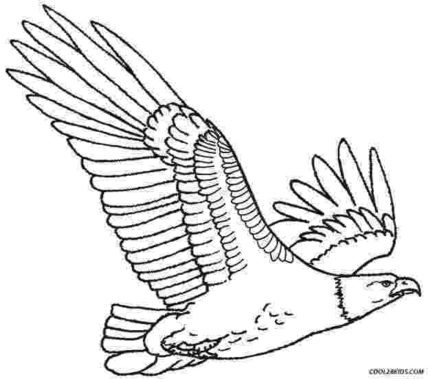 eagle printable printable eagle coloring pages for kids cool2bkids eagle printable 1 1