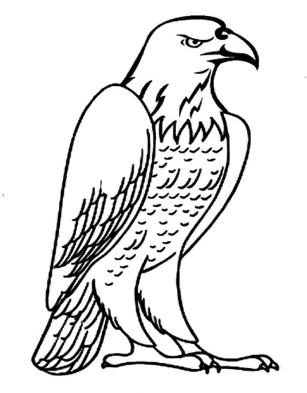 eagle printable printable eagle coloring pages ideas for preschool eagle printable 