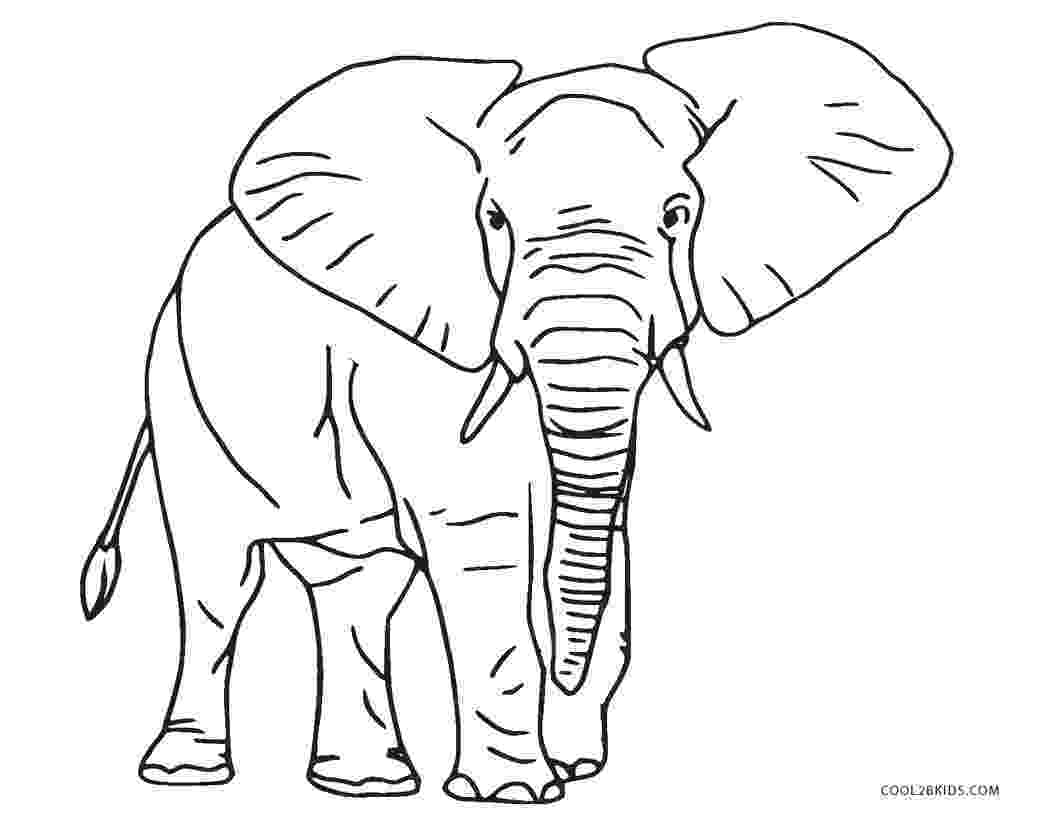 elephant coloring sheet free printable elephant coloring pages for kids coloring elephant sheet 