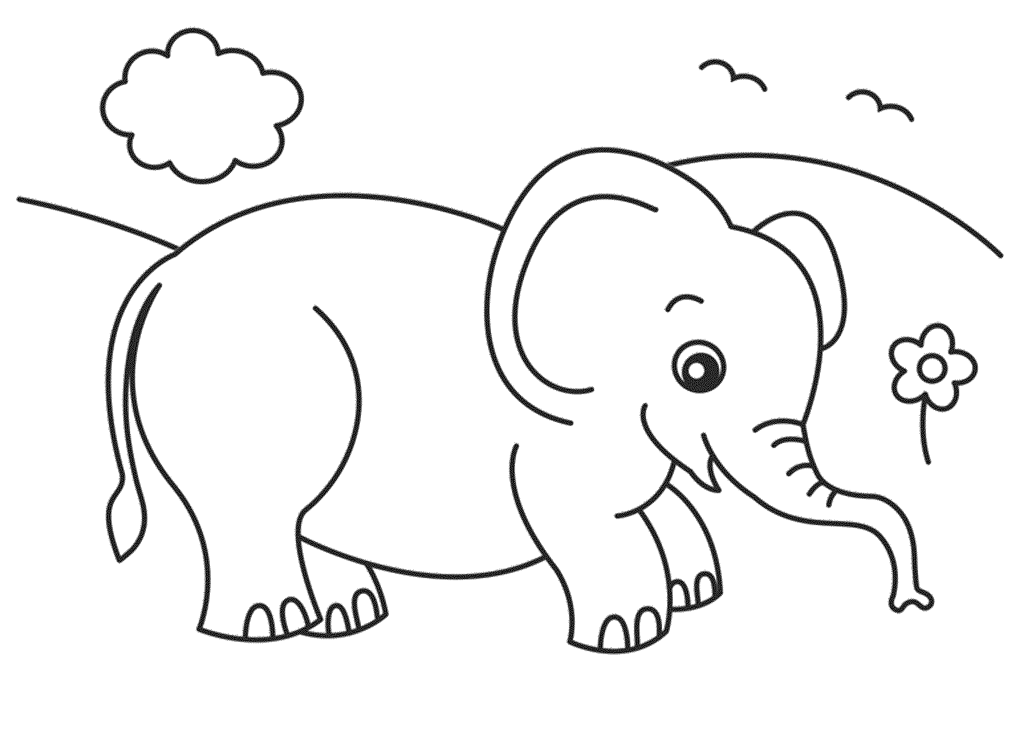 elephant pictures to color elephant coloring pages printable free printable kids color pictures to elephant 