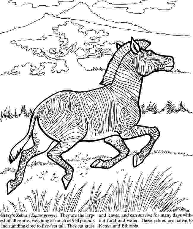 extinct animals coloring pages division of forestry and wildlife education coloring pages extinct animals 