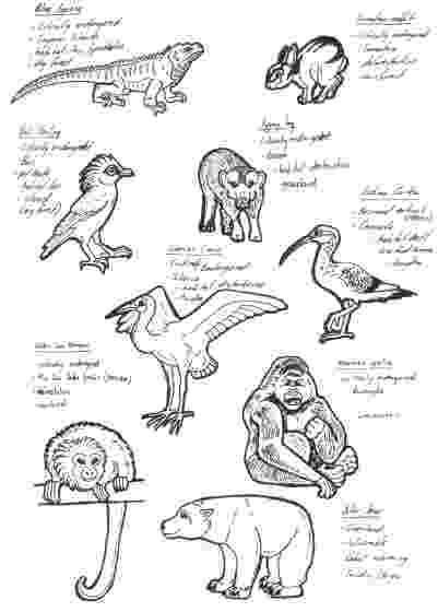 extinct animals coloring pages endangered animals coloring page coloring animals extinct pages 