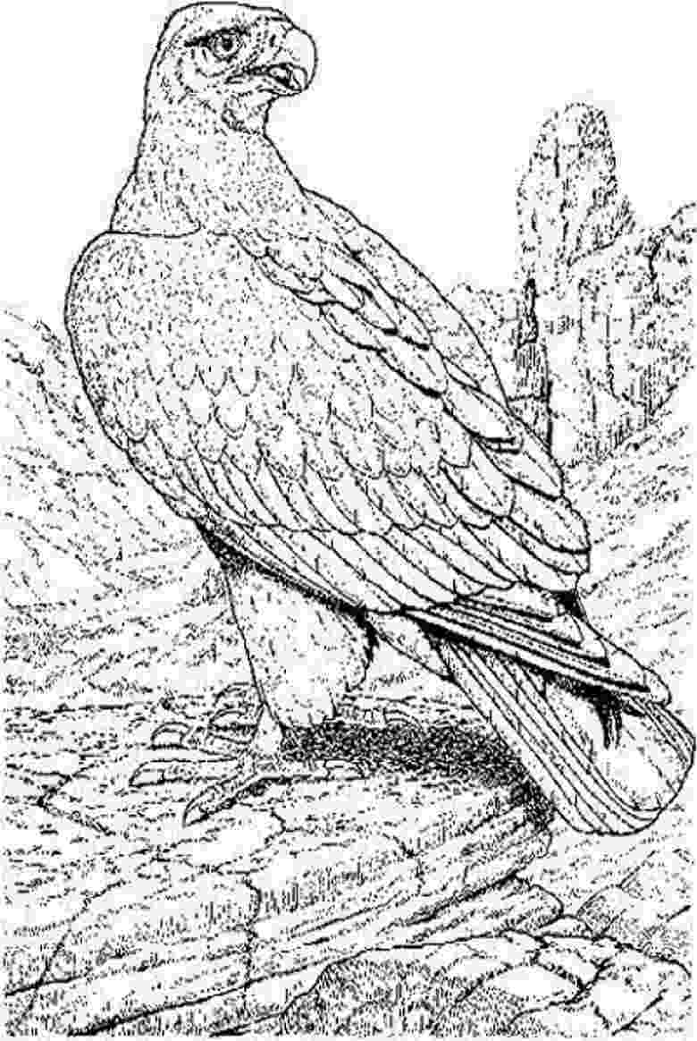 extinct animals coloring pages endangered animals coloring pages news bubblews animals coloring pages extinct 
