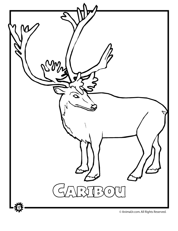 extinct animals coloring pages endangered parrot animal coloring page art quothow toquot draw coloring animals pages extinct 