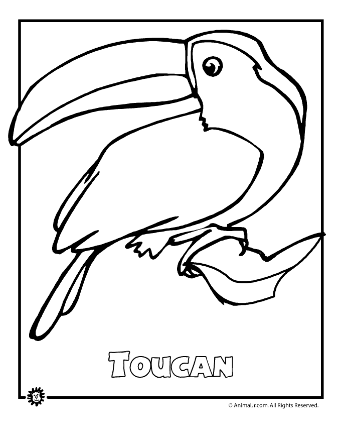 extinct animals coloring pages endangered rainforest touca woo jr kids activities extinct coloring pages animals 