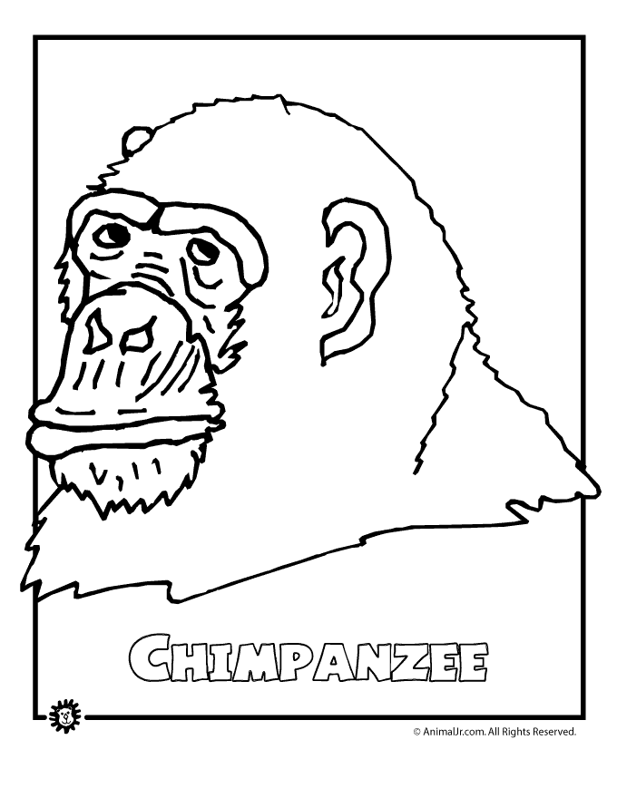 extinct animals coloring pages endangered species coloring pages coloring home extinct pages coloring animals 